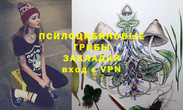 ГАЛЛЮЦИНОГЕННЫЕ ГРИБЫ Баксан