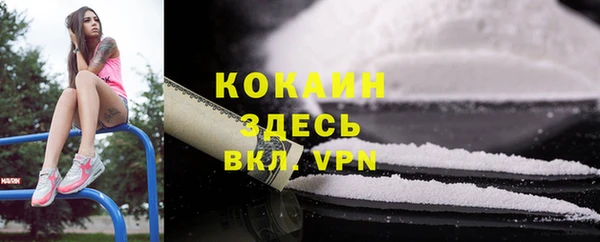 ГАЛЛЮЦИНОГЕННЫЕ ГРИБЫ Баксан