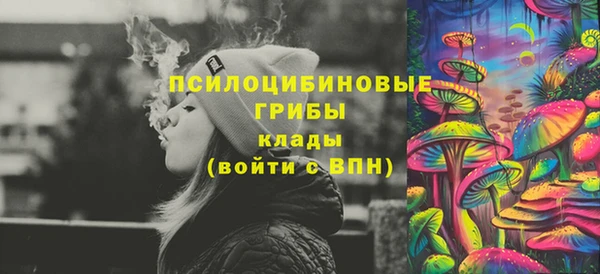 ГАЛЛЮЦИНОГЕННЫЕ ГРИБЫ Баксан